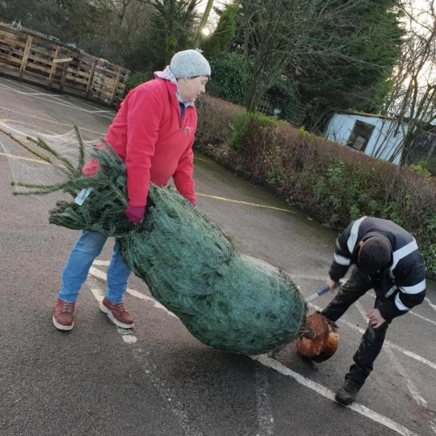 Tree Donation from Yorkshire Christmas Trees